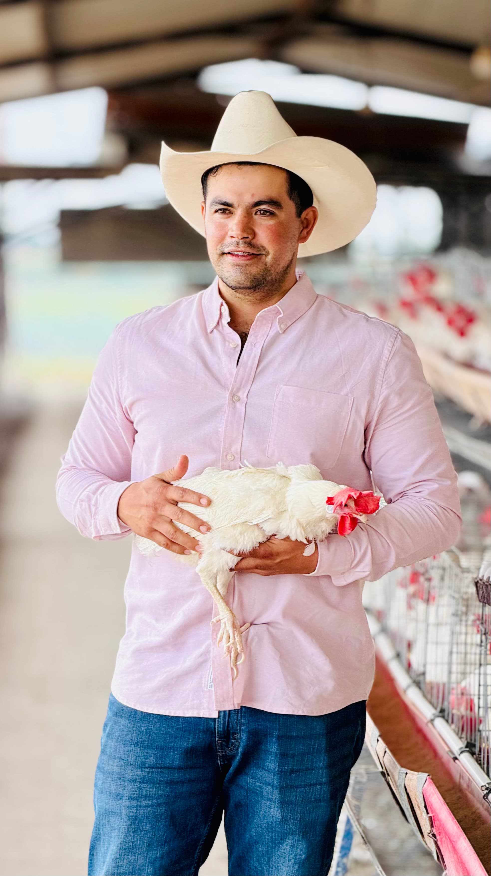 José sosteniendo gallina en granja avícola
